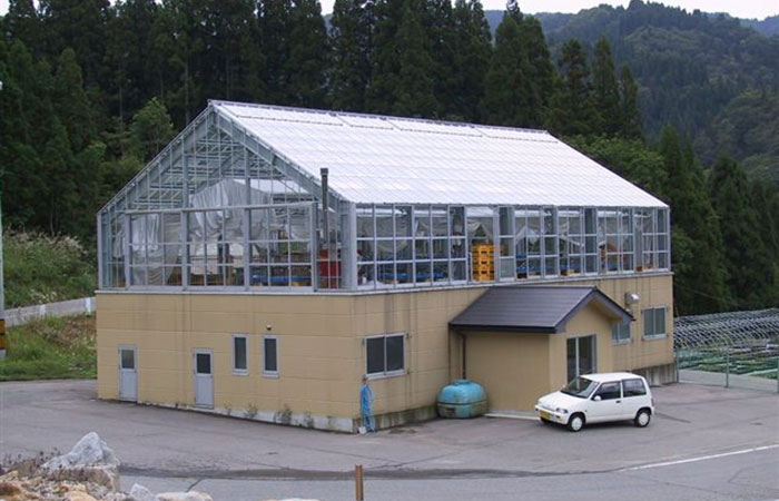 高山植物温室 高山植物温室